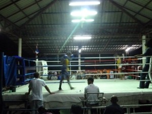 muay thai